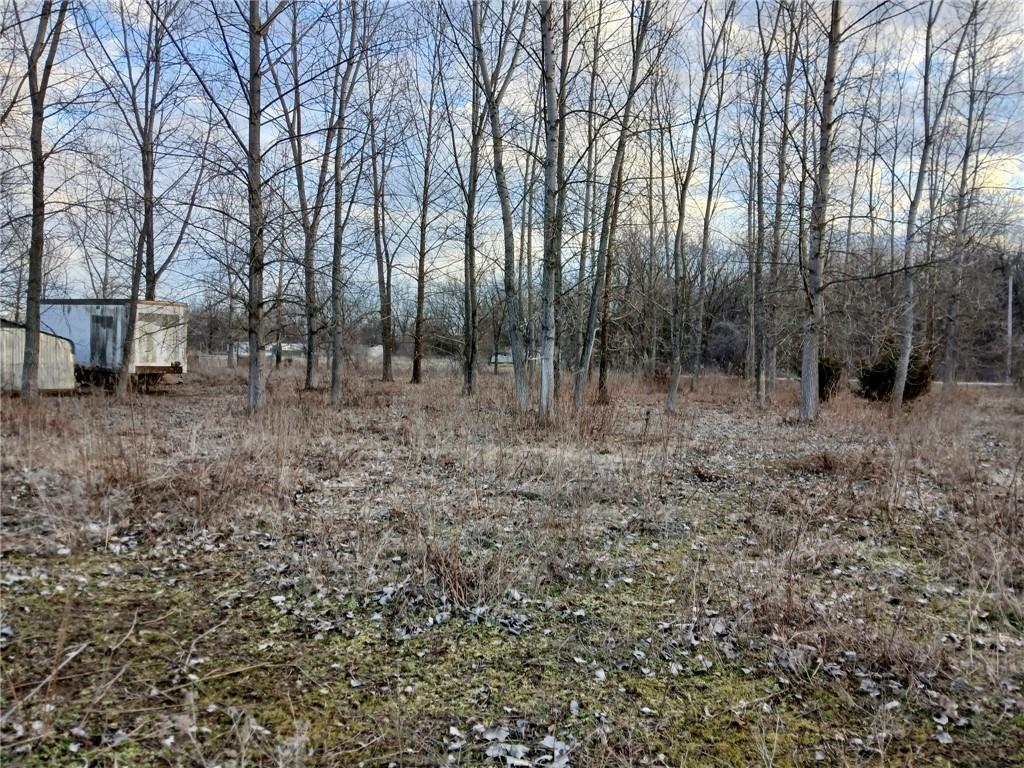 1615 Northwest 450th Road Kingsville, MO 64061 - Photo 34 of 53