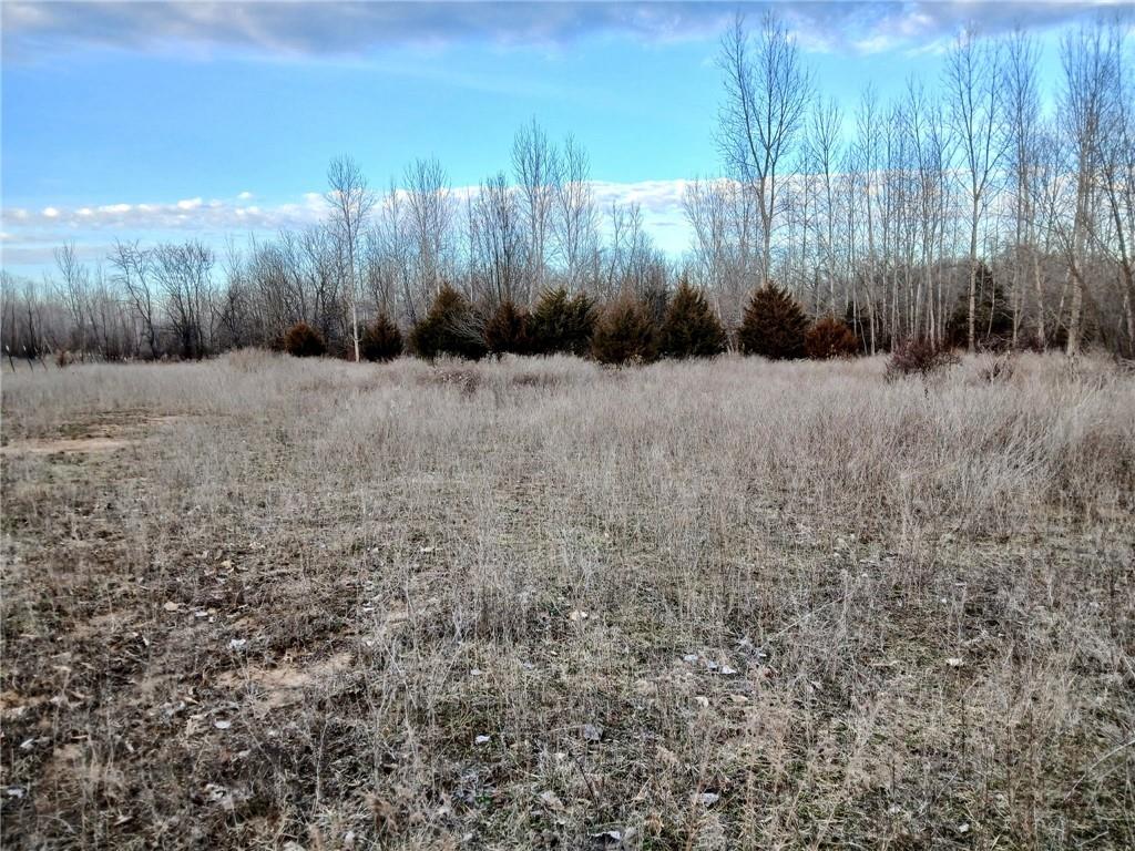 1615 Northwest 450th Road Kingsville, MO 64061 - Photo 5 of 53