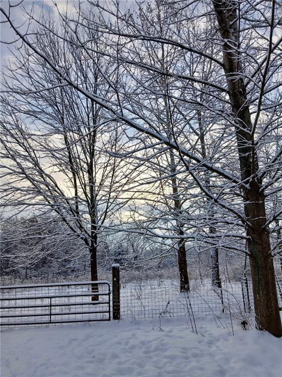 1615 Northwest 450th Road Kingsville, MO 64061 - Photo 6 of 53