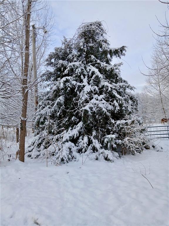 1615 Northwest 450th Road Kingsville, MO 64061 - Photo 7 of 53