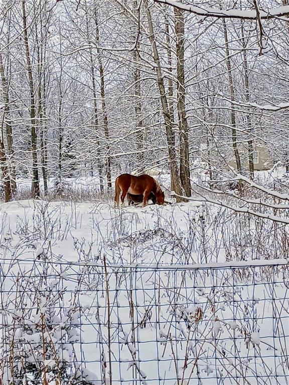 1615 Northwest 450th Road Kingsville, MO 64061 - Photo 10 of 53