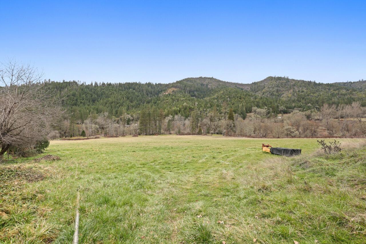 431 Murphy Gulch Road Rogue River, OR 97537 - Photo 29 of 35 EP1A7921 Large