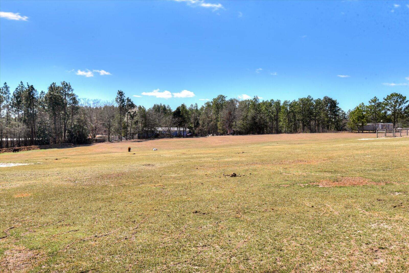 1268 Powell Pond Road Aiken, SC 29801 - Photo 118 of 118 Gallery Image 118