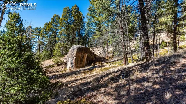 $240,000 | Tbd Arrowhead Road, Florissant, CO 80816