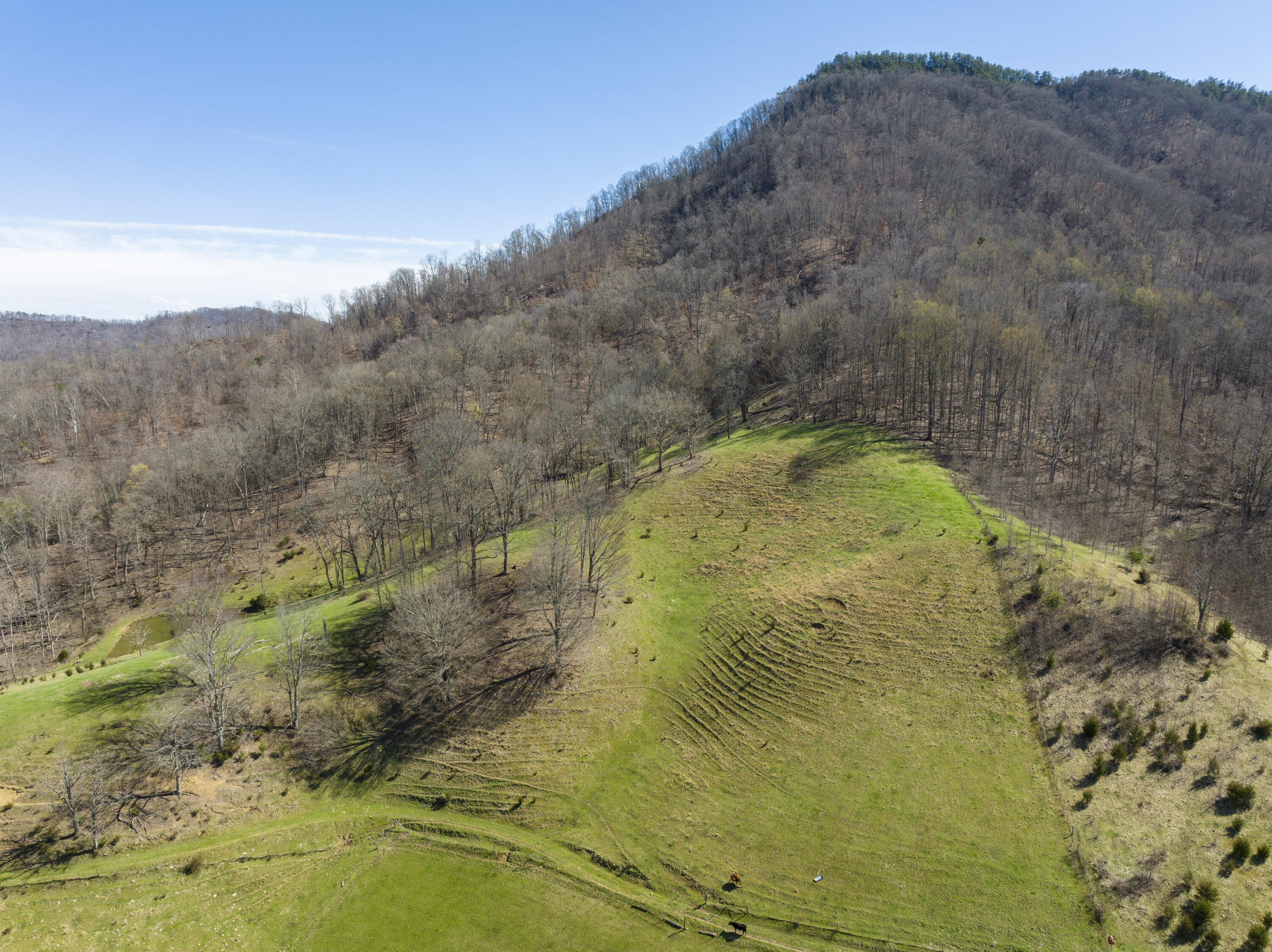 523 Devils Nose Road Rogersville, TN 37857 - Photo 51 of 63 Hawkins-Aerials-6