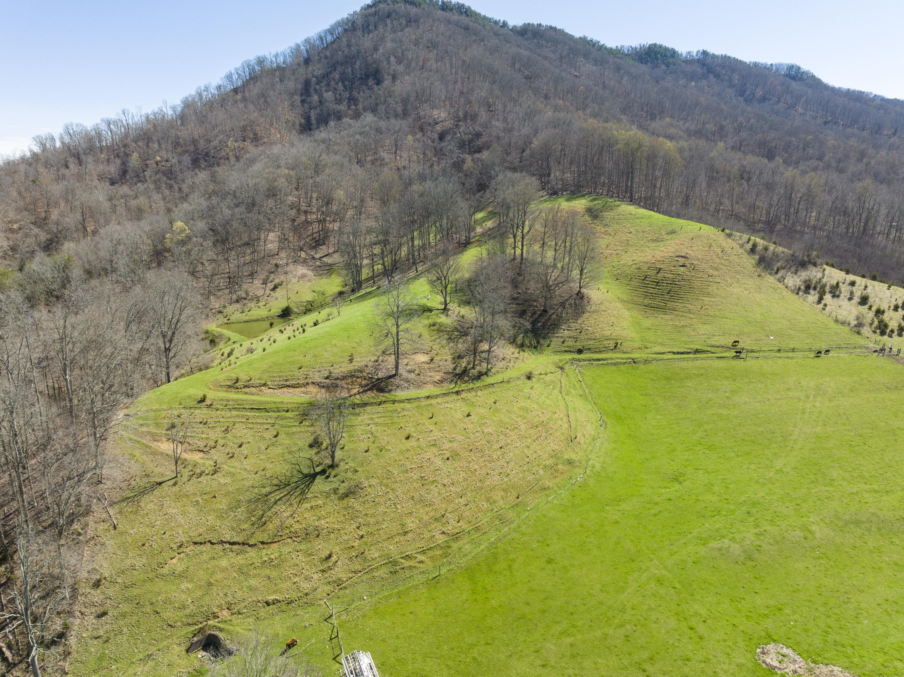 523 Devils Nose Road Rogersville, TN 37857 - Photo 53 of 63 Hawkins-Aerials-8