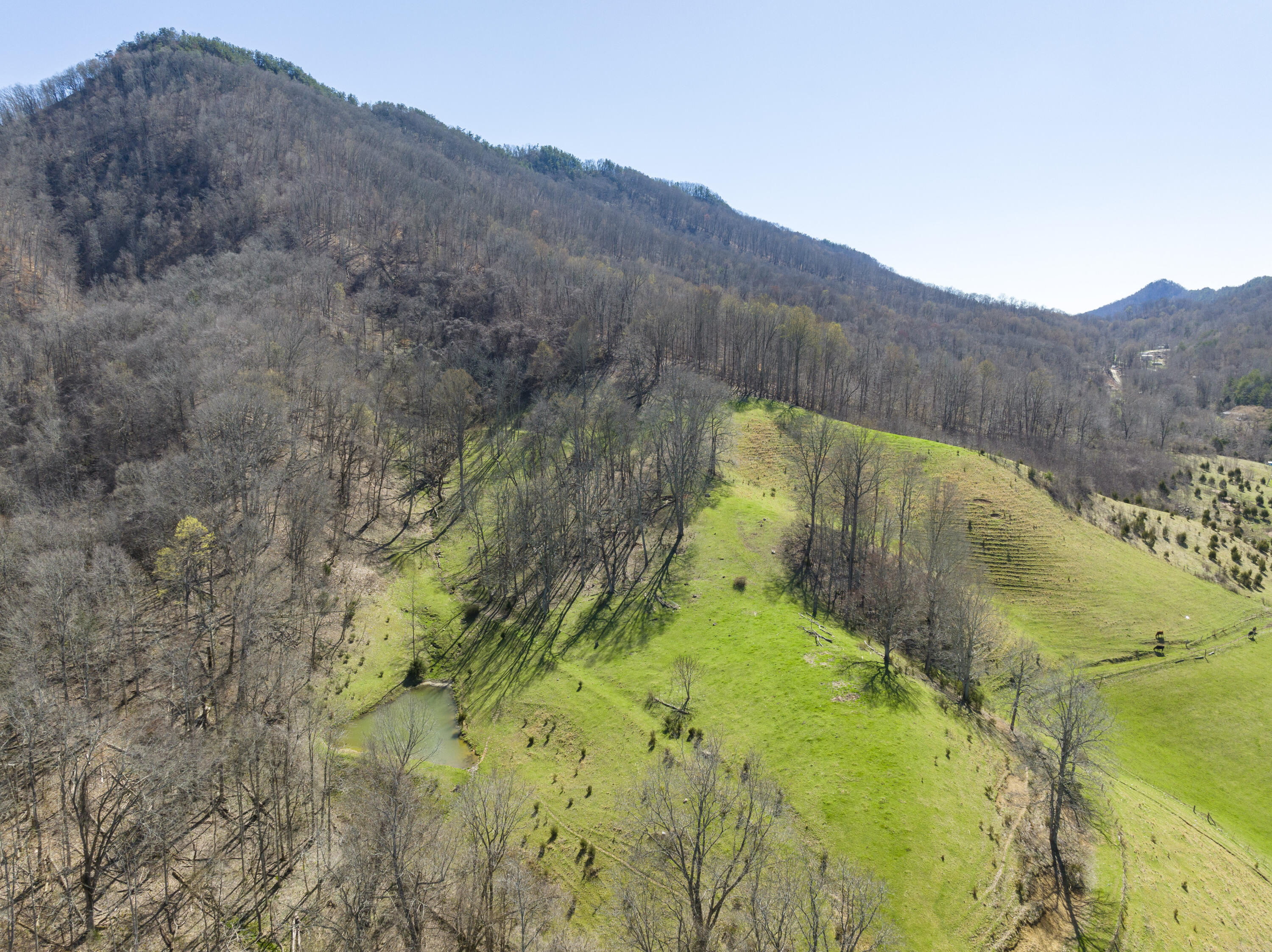 523 Devils Nose Road Rogersville, TN 37857 - Photo 55 of 63 Hawkins-Aerials-10