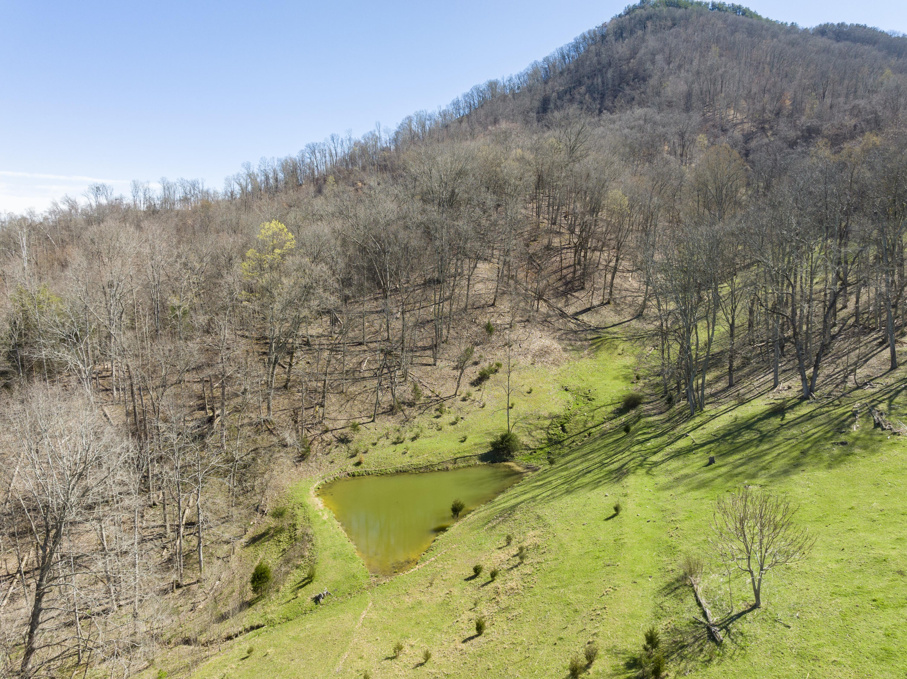 523 Devils Nose Road Rogersville, TN 37857 - Photo 56 of 63 Hawkins-Aerials-11