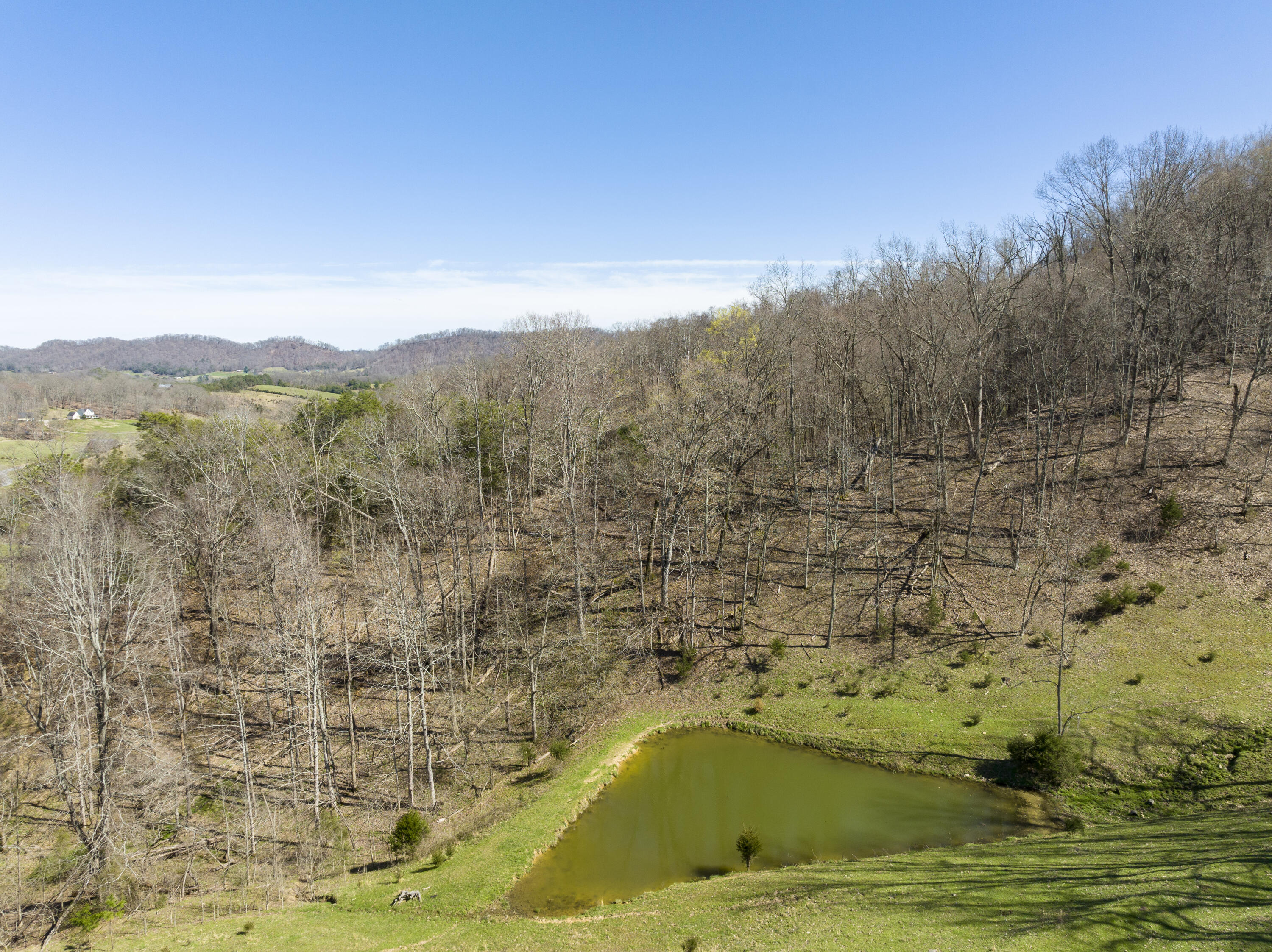 523 Devils Nose Road Rogersville, TN 37857 - Photo 57 of 63 Hawkins-Aerials-12