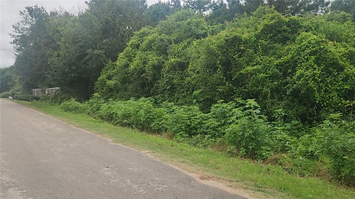 Lot 61 Greenfield Road Hempstead, TX 77445 - Photo 13 of 17 a view of a forest with a street