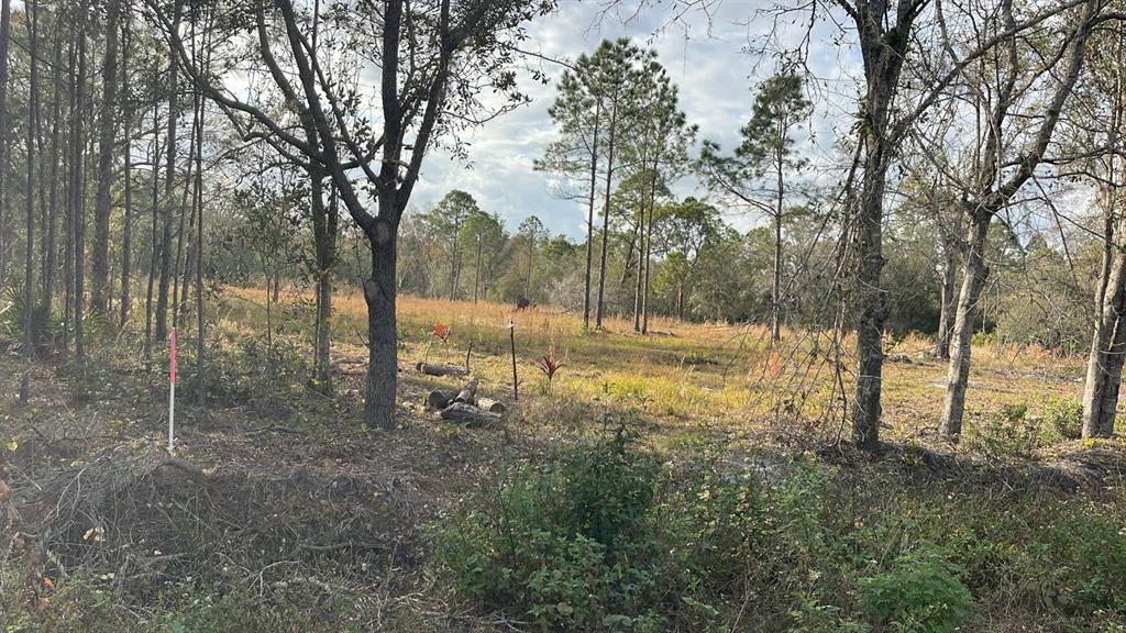 Kelly Ridge Road Frostproof, FL 33843 - Photo 4 of 5