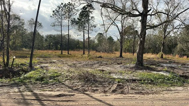 $91,500 | Kelly Ridge Road, Frostproof, FL 33843