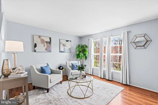 a living room with furniture potted plant and a potted plant