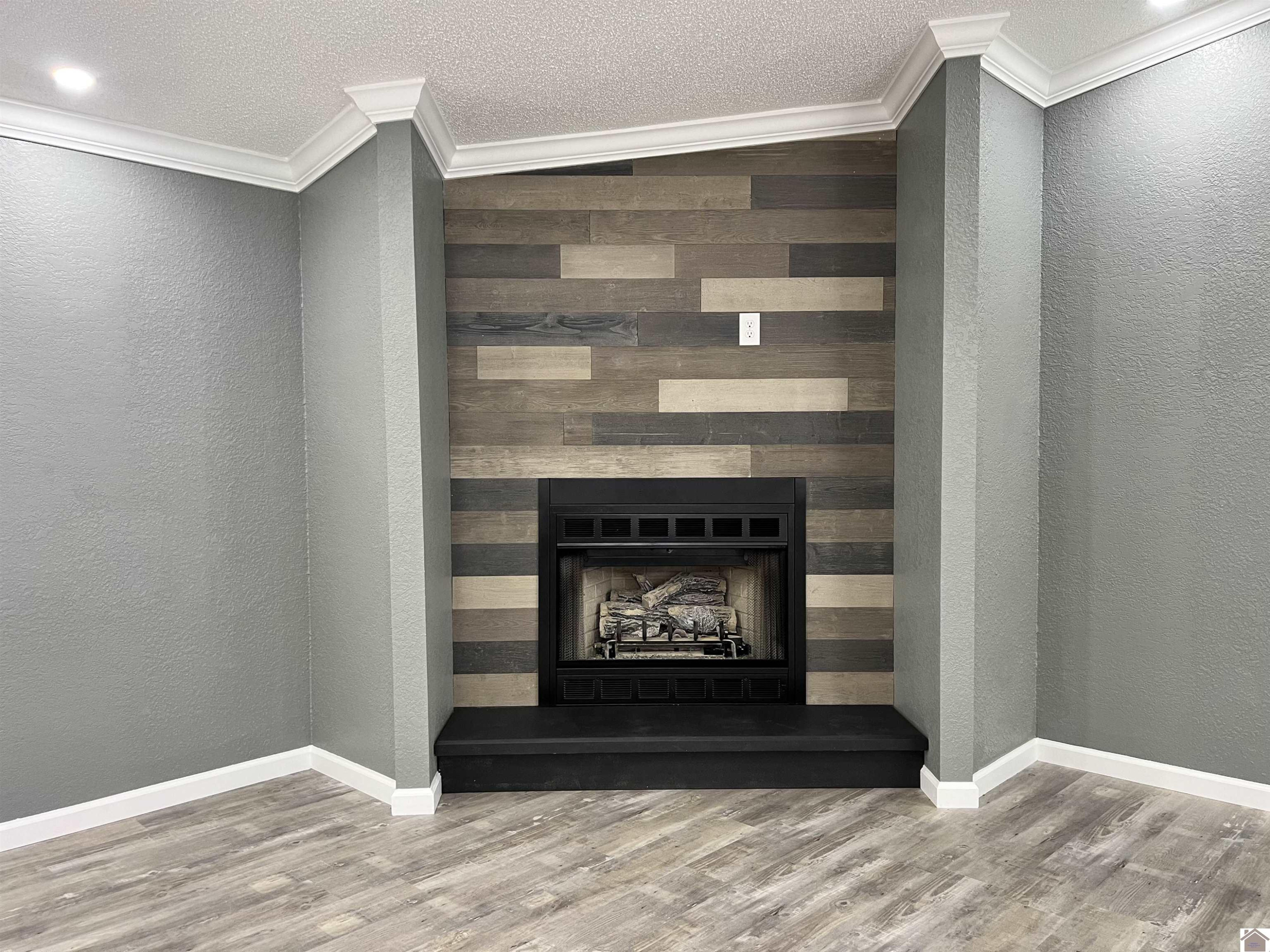 976 Charley Miller Road Almo, KY 42020 - Photo 7 of 32 Gas Log Fireplace in Living Room