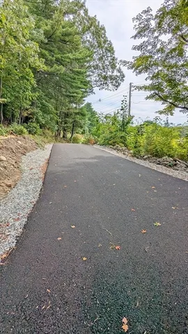 a view of a field with plants and trees