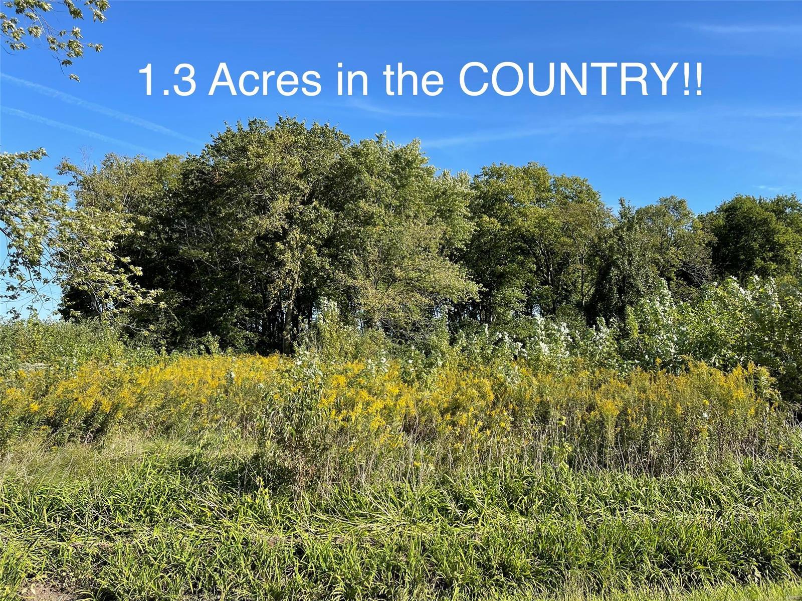 9615 Decamp Road Staunton, IL 62088 - Photo 1 of 13