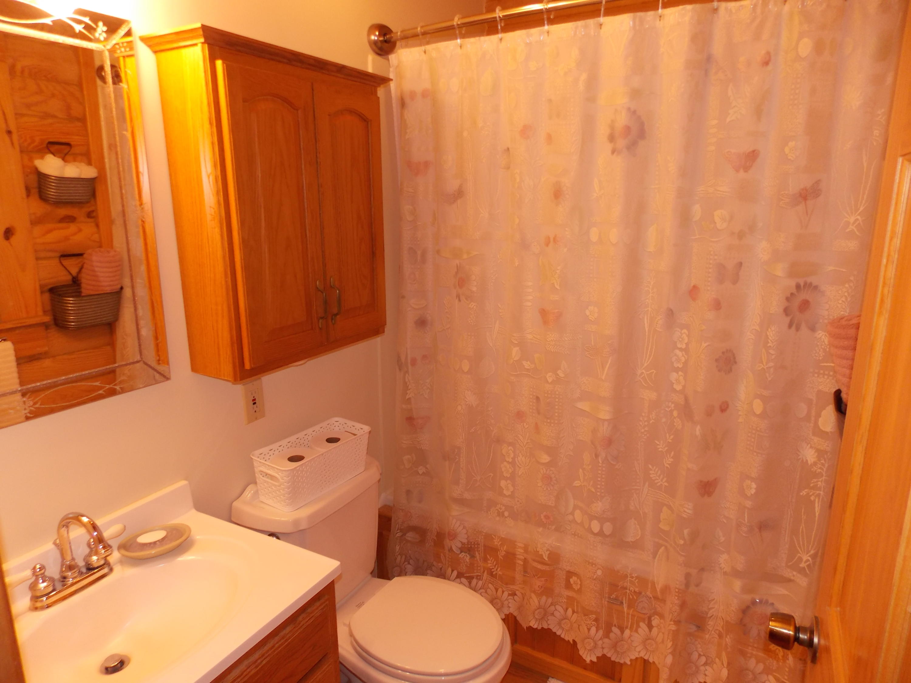 124 Ridgeview Road Northwest Floyd, VA 24091 - Photo 36 of 67 a bathroom with a sink a toilet and shower curtain