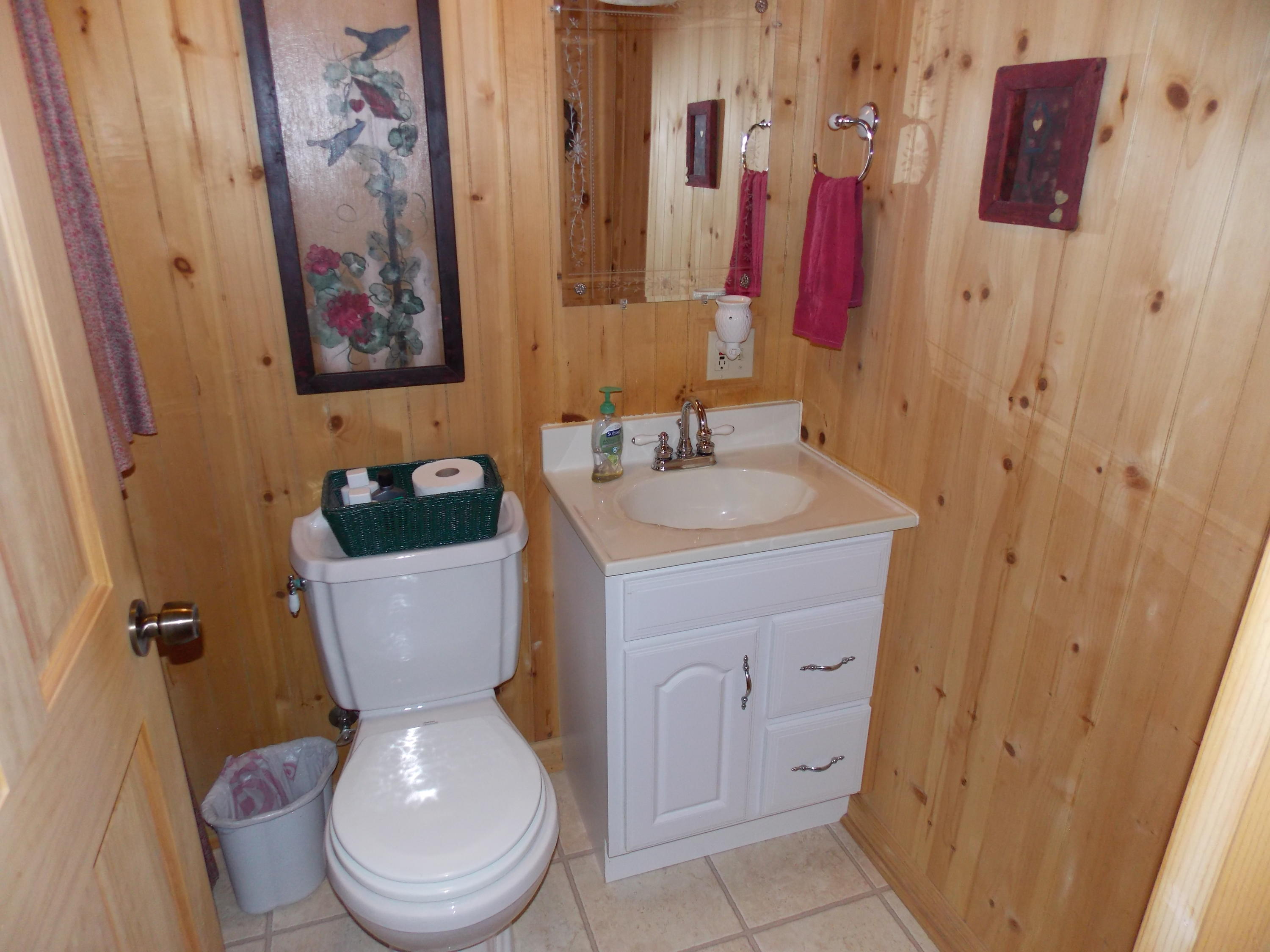 124 Ridgeview Road Northwest Floyd, VA 24091 - Photo 38 of 67 a bathroom with a toilet sink and mirror