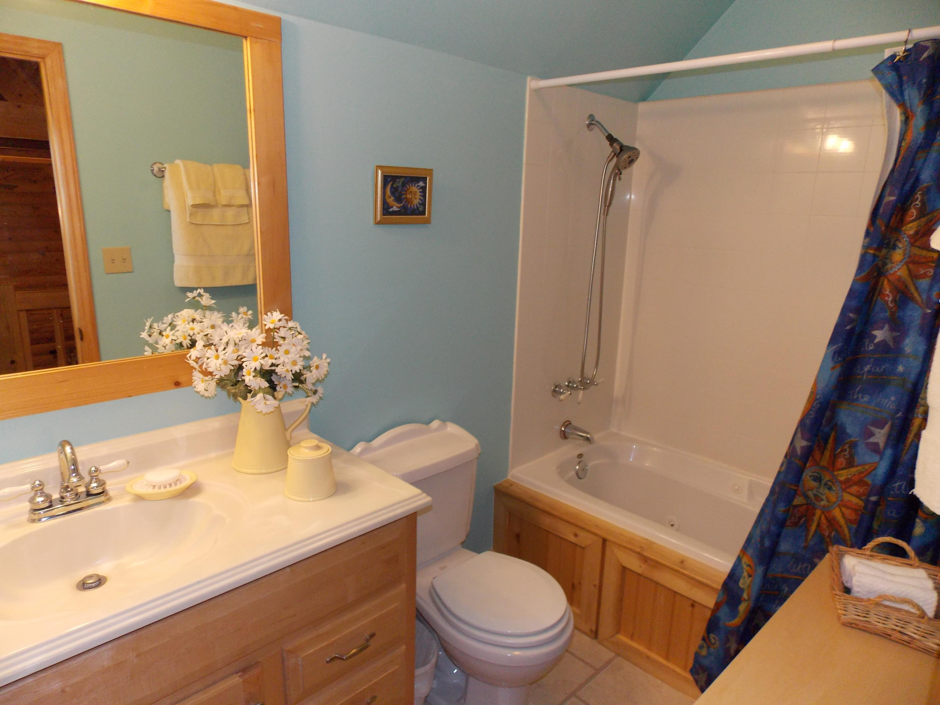 124 Ridgeview Road Northwest Floyd, VA 24091 - Photo 44 of 67 a bathroom with a sink mirror vanity and toilet