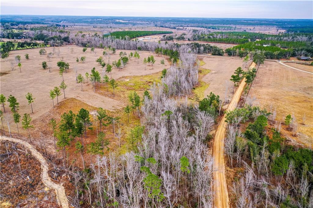 0 Cedar Crossing Road Uvalda, GA 30473 - Photo 7 of 9