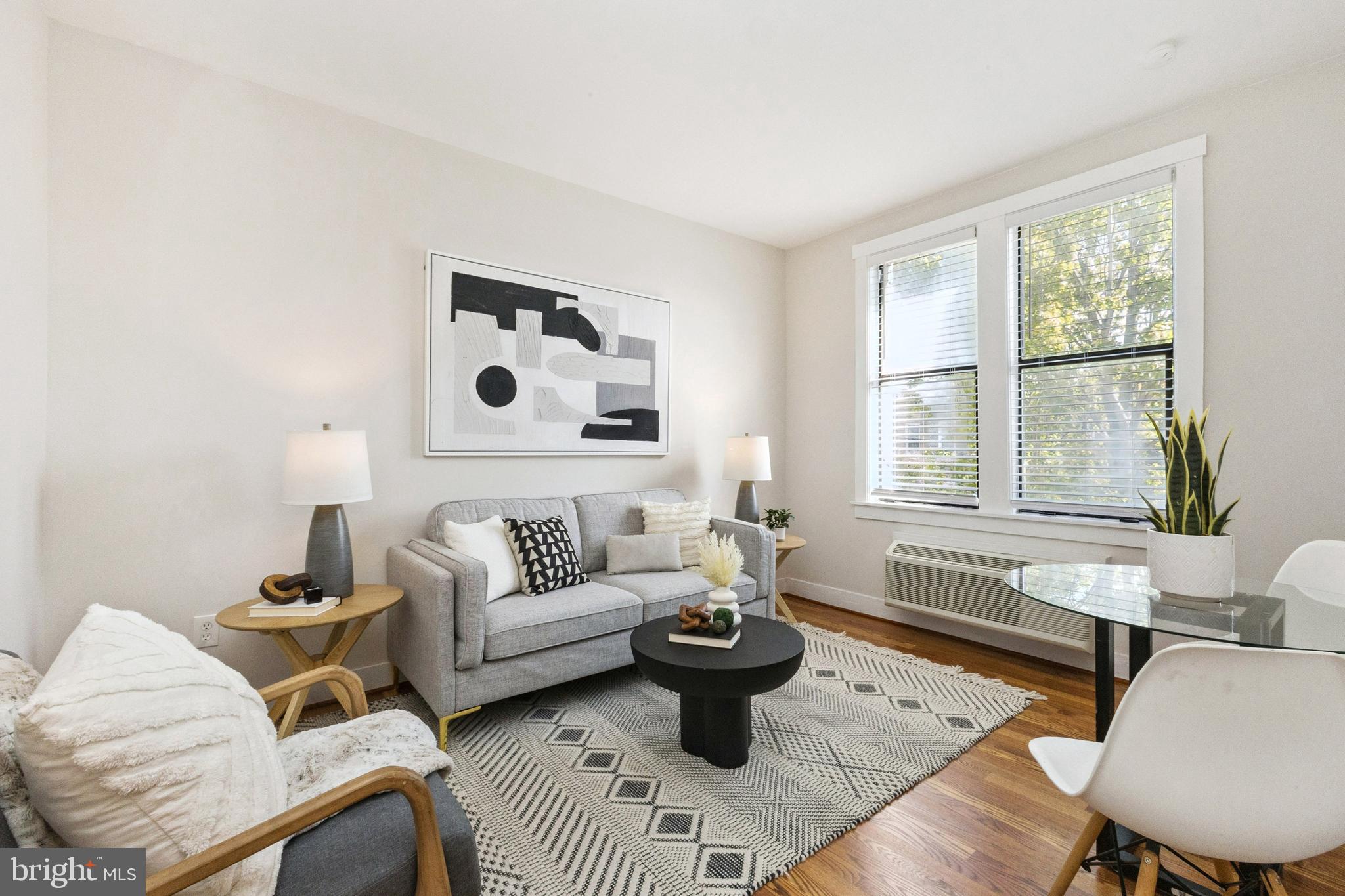 7 18th Street Southeast, Unit 208 Washington, DC 20003 - Photo 3 of 32 a living room with furniture and a window
