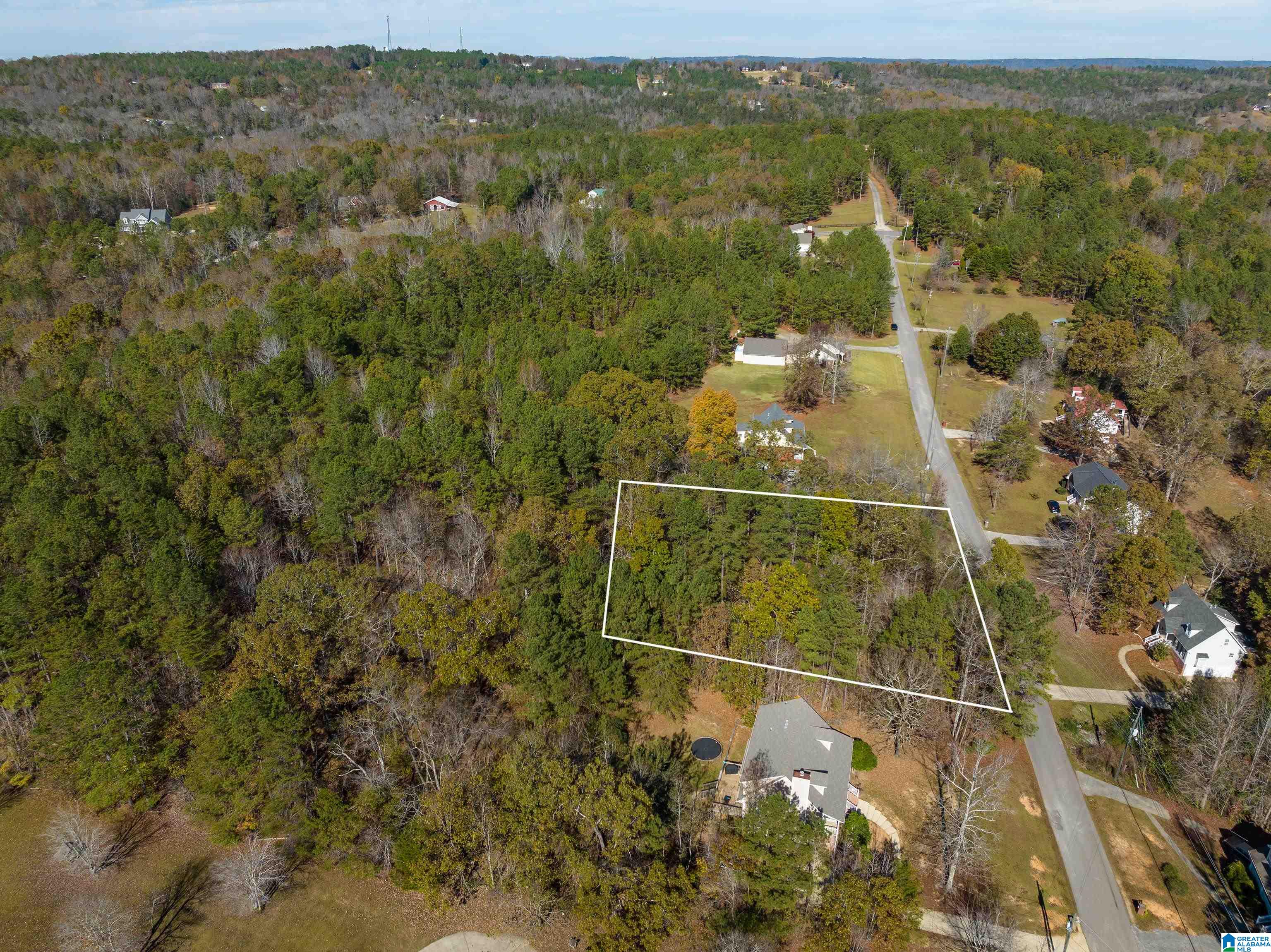 1849 Cedar Creek Road, Unit 8 Odenville, AL 35120 - Photo 5 of 11