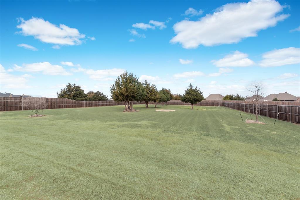 4041 Richard Road Midlothian, TX 76065 - Photo 6 of 36