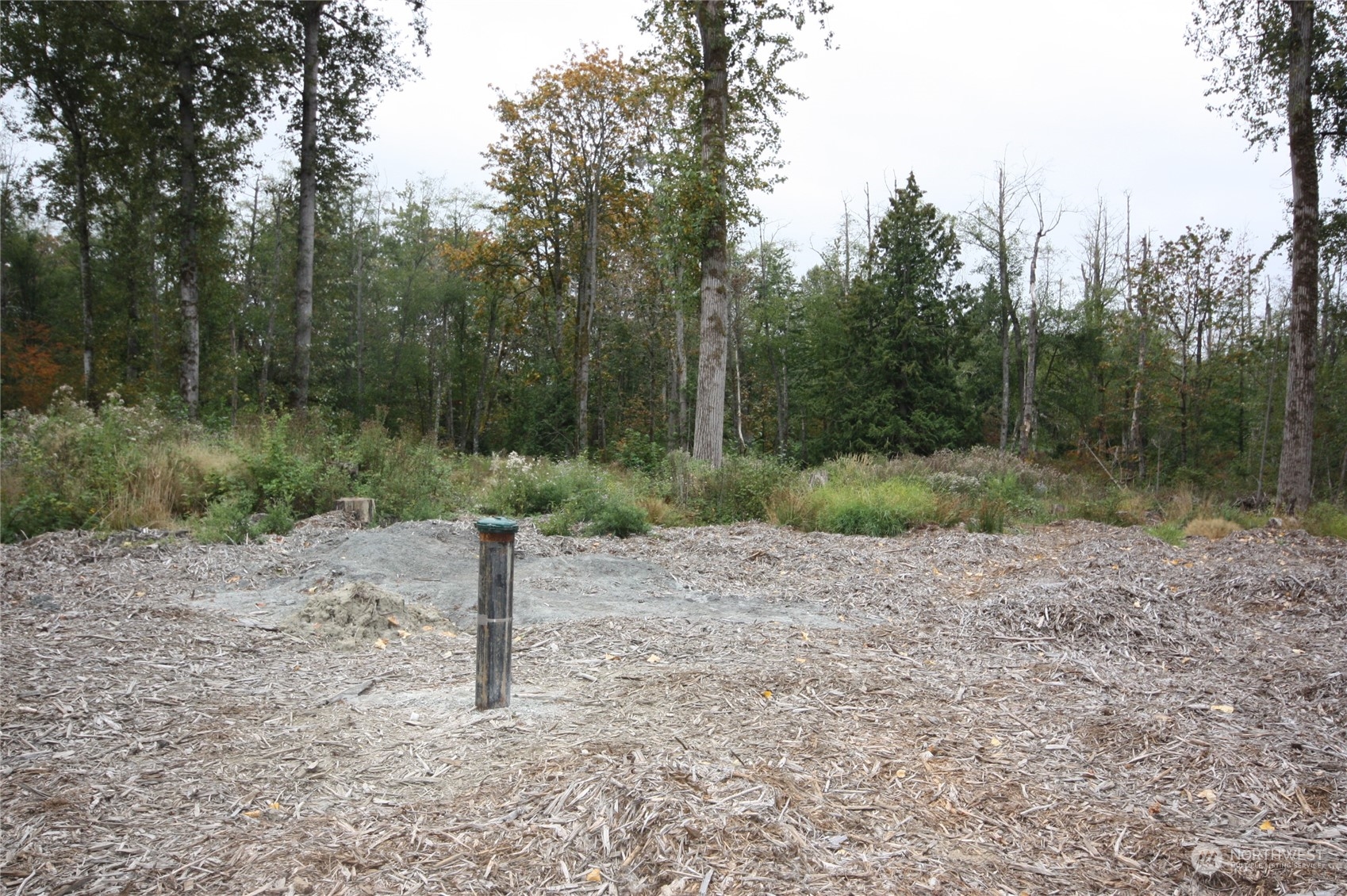 213 East Horton Road Bellingham, WA 98226 - Photo 11 of 39 Gallery Image 11