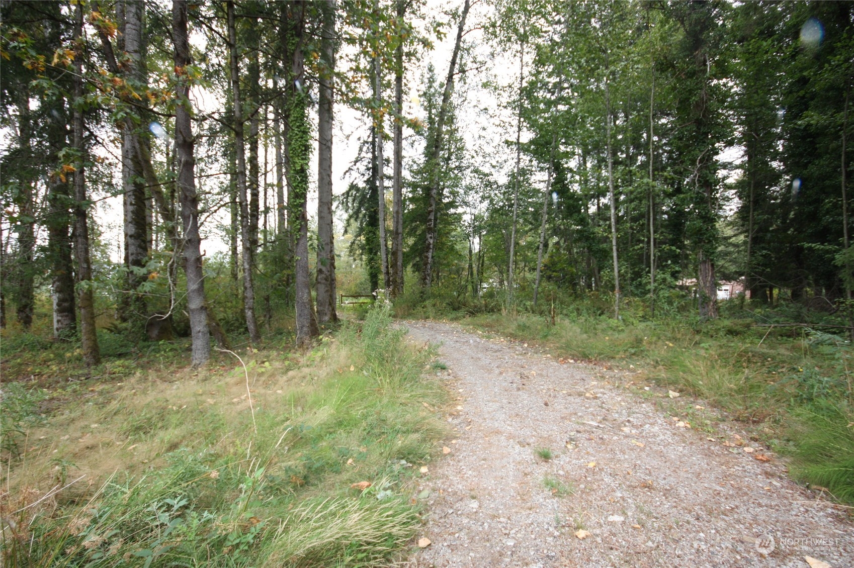 213 East Horton Road Bellingham, WA 98226 - Photo 14 of 39 Gallery Image 14