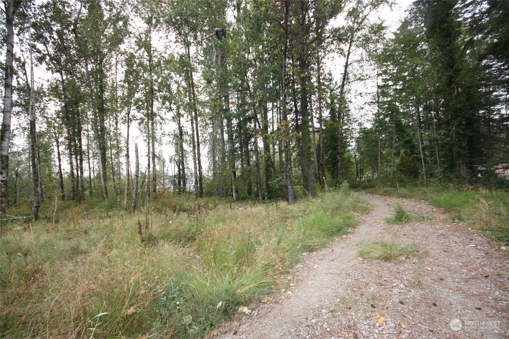 213 East Horton Road Bellingham, WA 98226 - Photo 15 of 39 Gallery Image 15