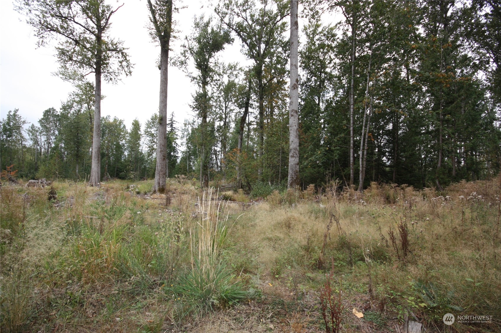 213 East Horton Road Bellingham, WA 98226 - Photo 21 of 39 Gallery Image 21