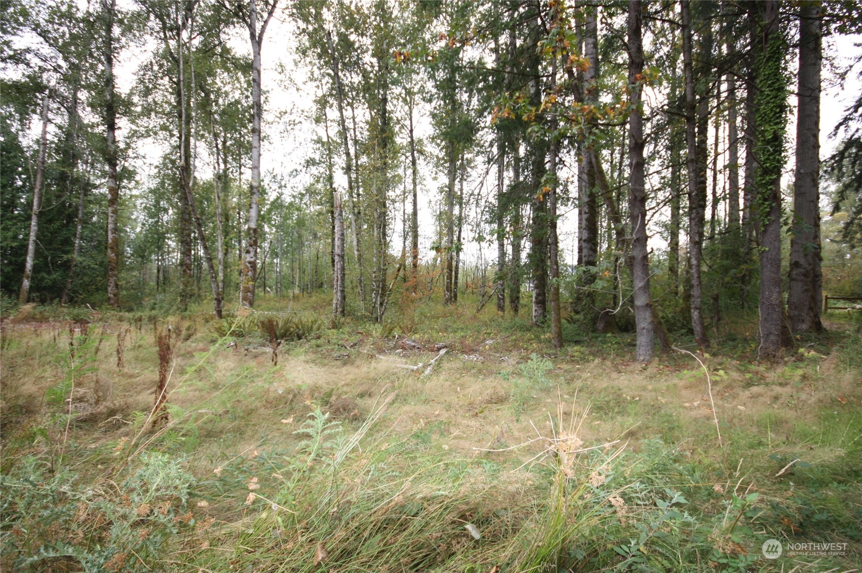 213 East Horton Road Bellingham, WA 98226 - Photo 23 of 39 Gallery Image 23
