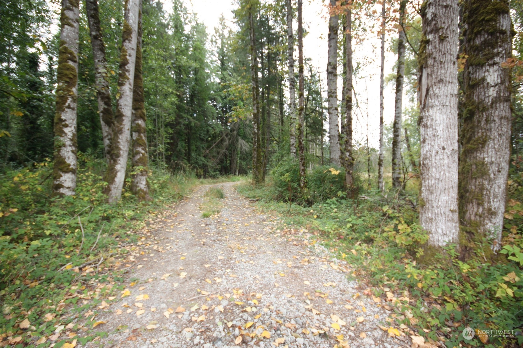 213 East Horton Road Bellingham, WA 98226 - Photo 3 of 39 Gallery Image 3