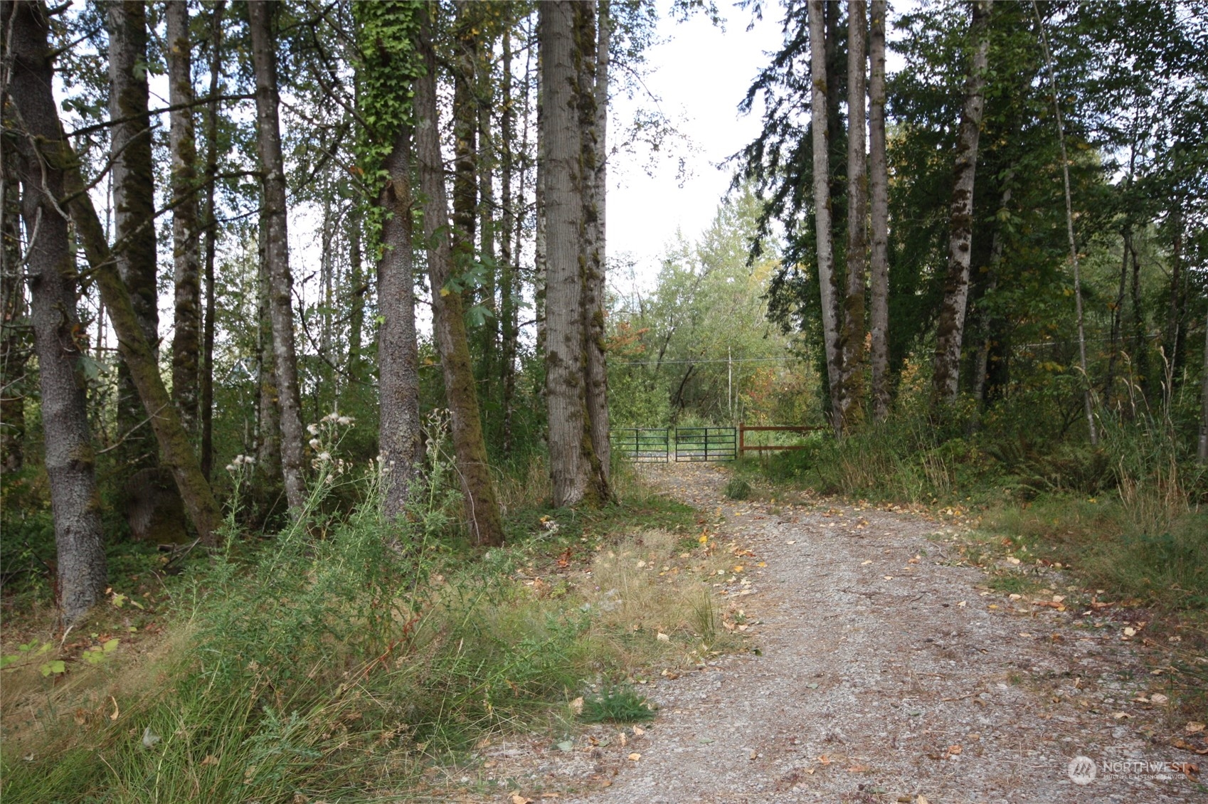 213 East Horton Road Bellingham, WA 98226 - Photo 35 of 39 Gallery Image 35