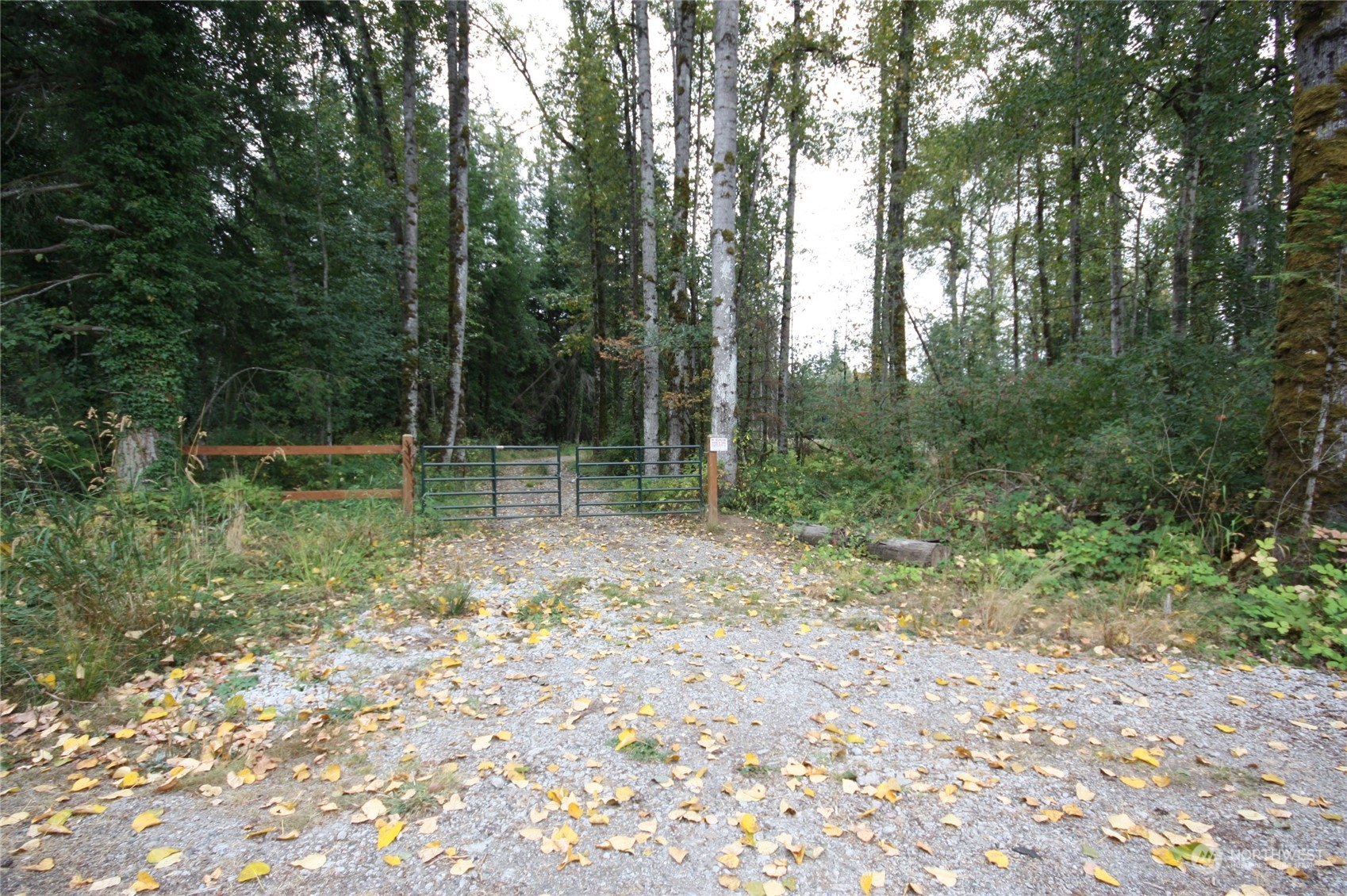 213 East Horton Road Bellingham, WA 98226 - Photo 4 of 39 Gallery Image 4