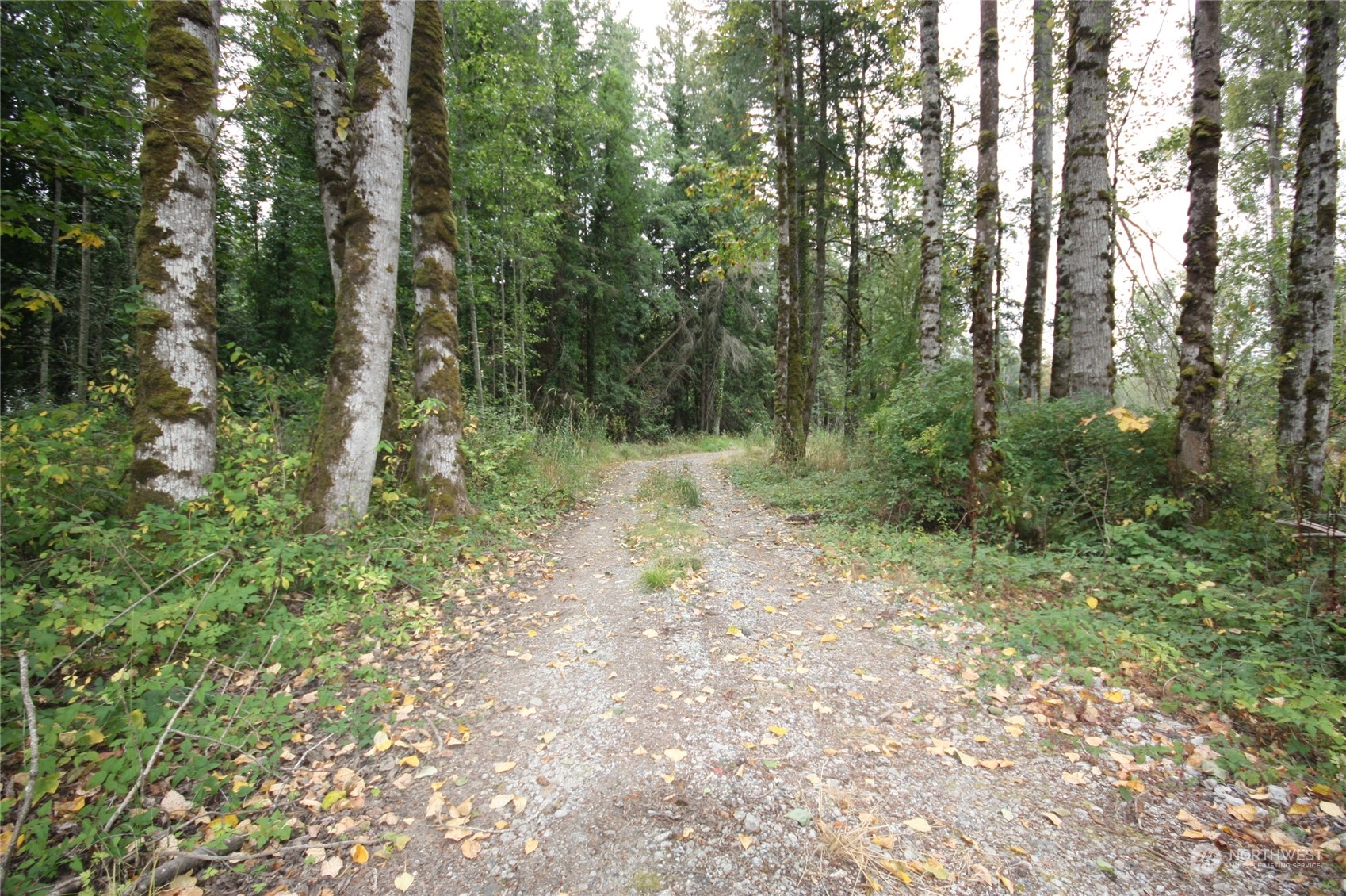 213 East Horton Road Bellingham, WA 98226 - Photo 5 of 39 Gallery Image 5