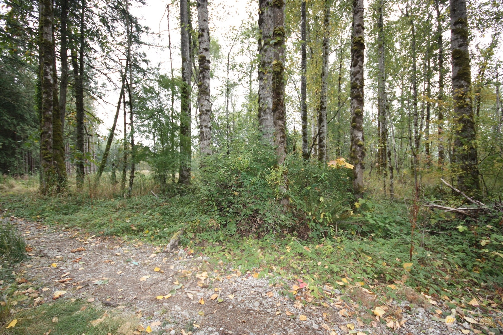 213 East Horton Road Bellingham, WA 98226 - Photo 6 of 39 Gallery Image 6