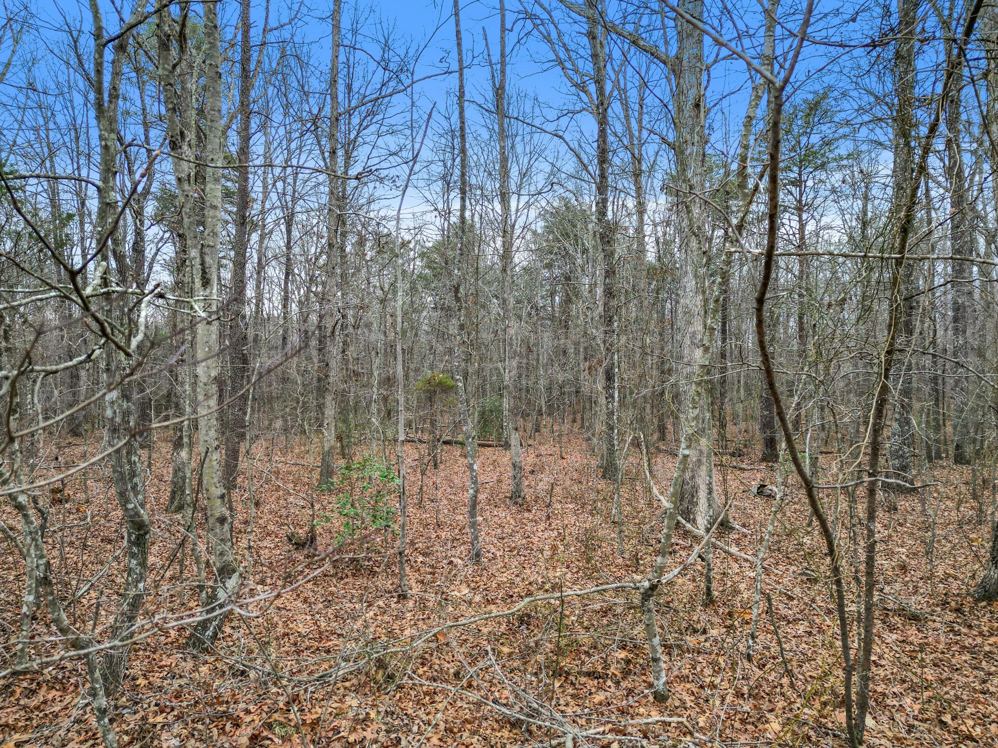 0 Mountain Place Road Dunlap, TN 37327 - Photo 2 of 16 Gallery Image 2