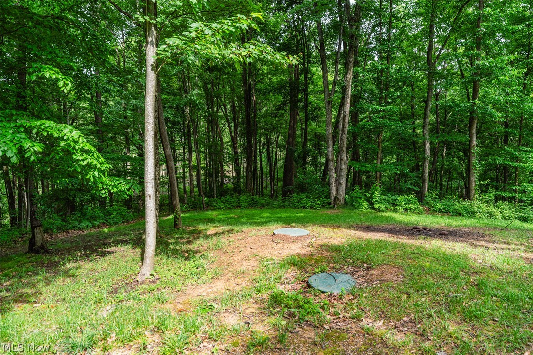 5674 Pleasant Valley Road Nashport, OH 43830 - Photo 41 of 50
