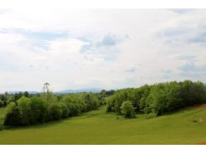 419 Miller Road Telford, TN 37690 - Photo 3 of 3 Panoramic views