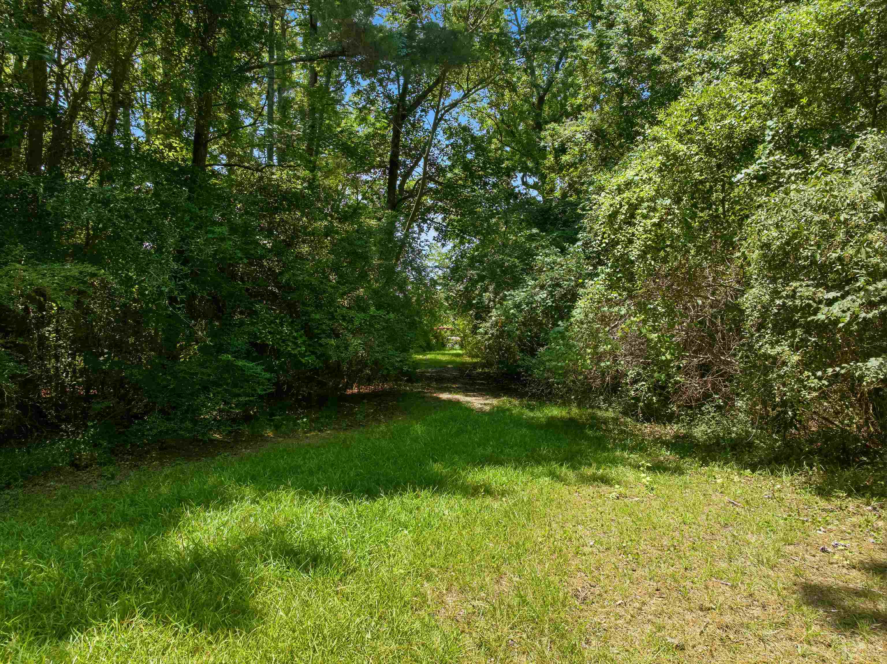 66 Highway 66 Conway, SC 29526 - Photo 4 of 21