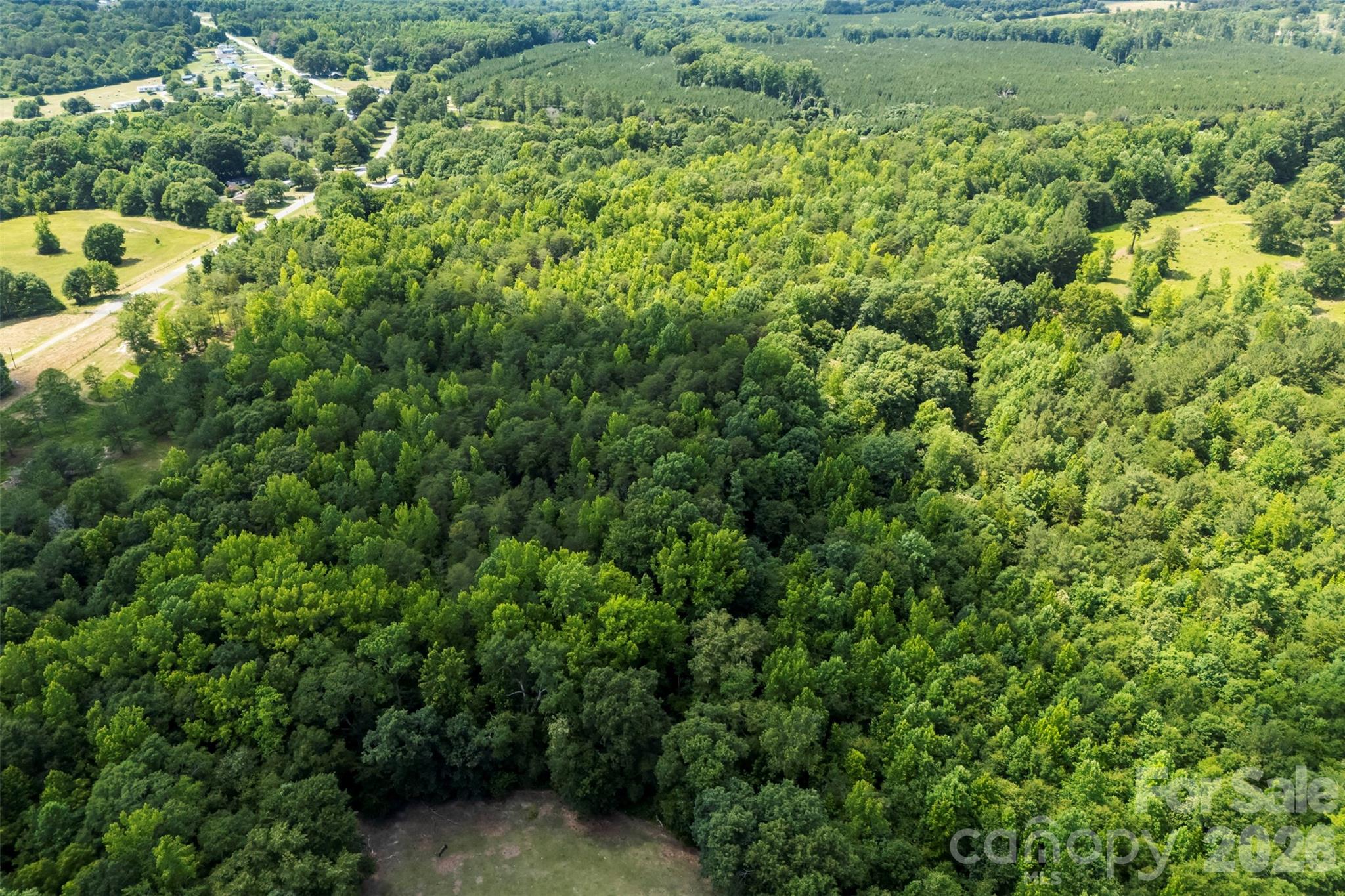 1122 Lavender Road Grover, NC 28073 - Photo 8 of 9