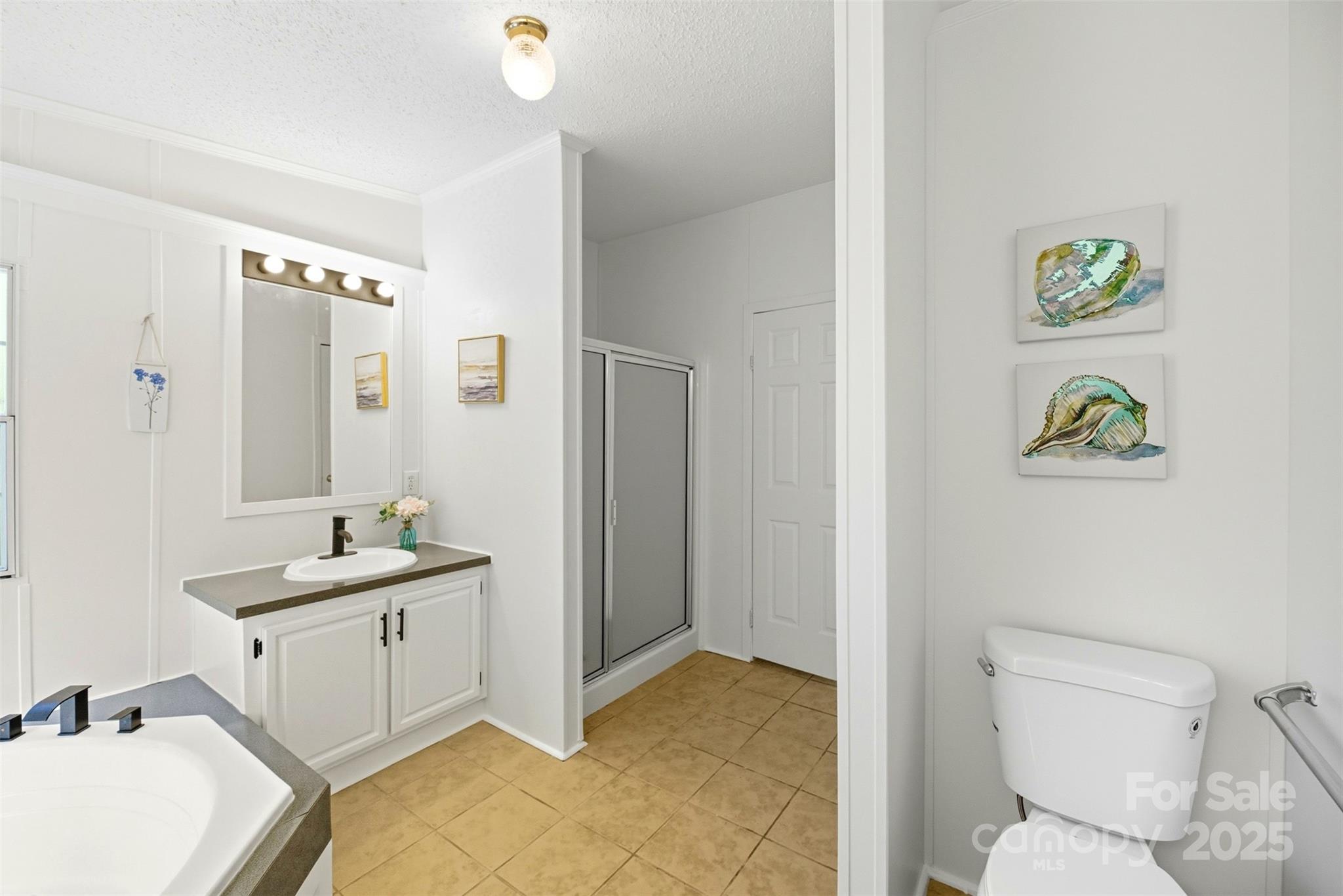 2319 Alexis Lucia Road Stanley, NC 28164 - Photo 13 of 32 a bathroom with a sink mirror vanity and toilet