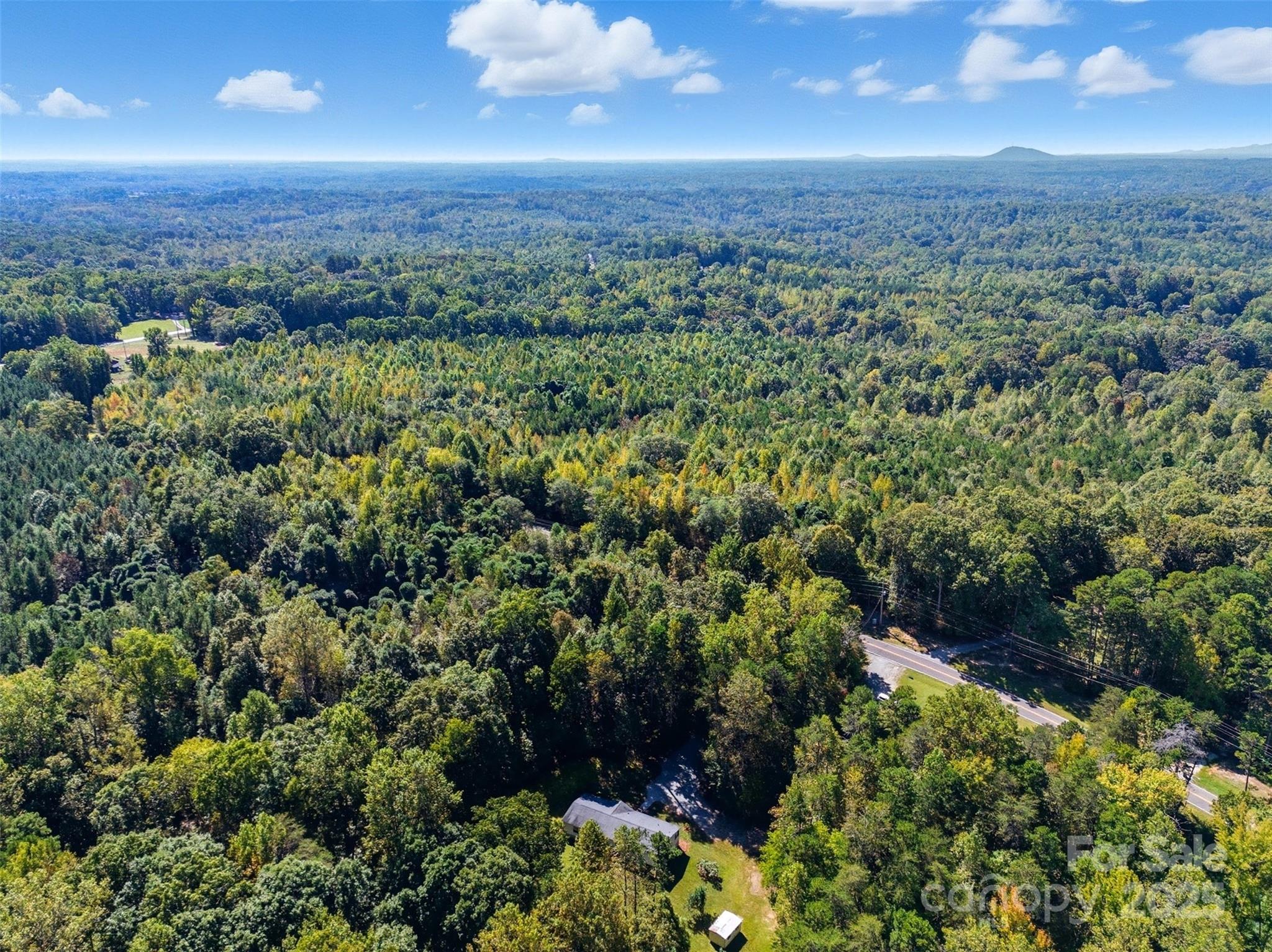 2319 Alexis Lucia Road Stanley, NC 28164 - Photo 31 of 32 an aerial view of a houses with a yard