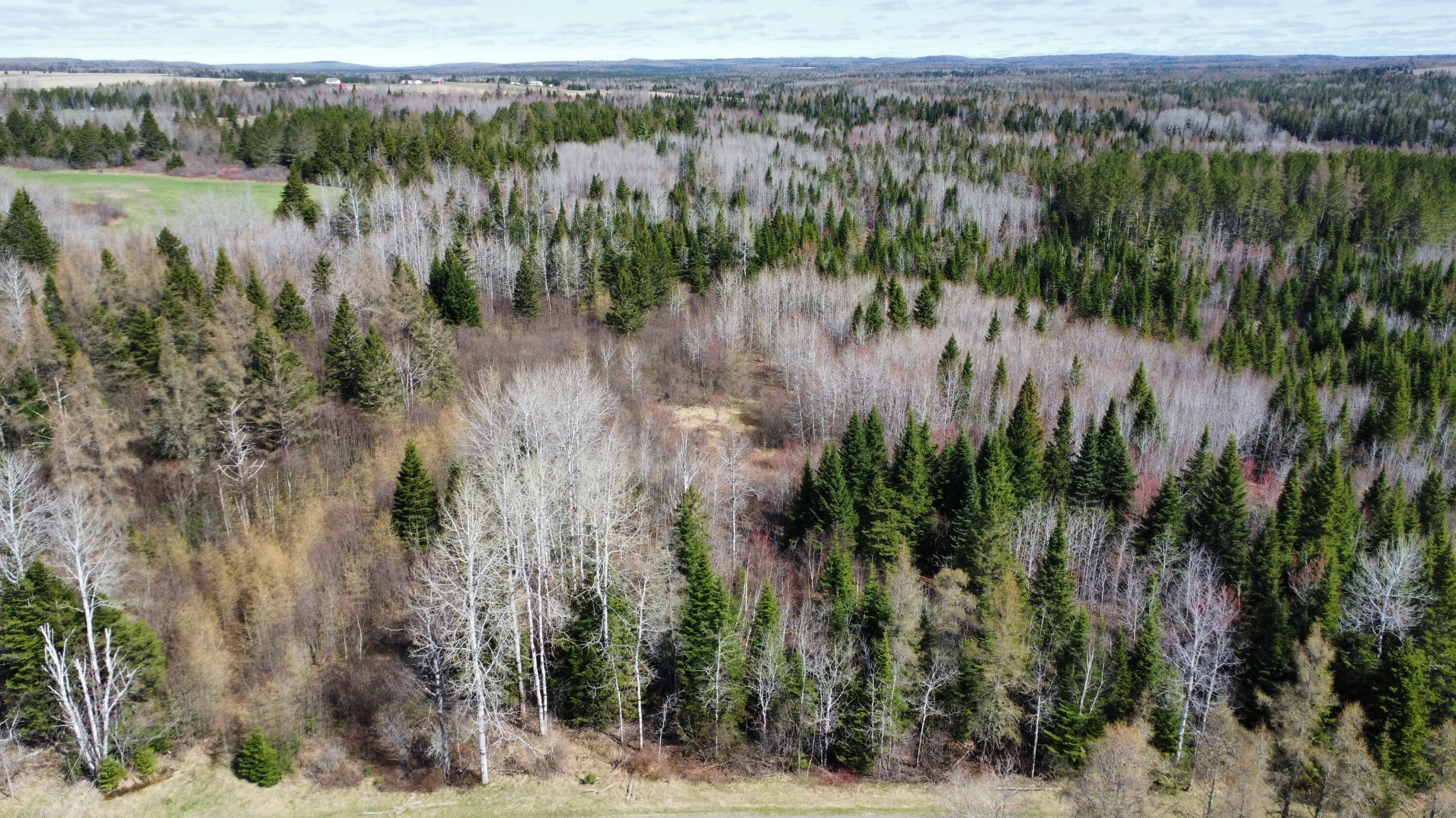 Lot 104 Beaulieu Road Caribou, ME 04736 - Photo 11 of 16 dji_fly_20250509_094610_37_1746798378809
