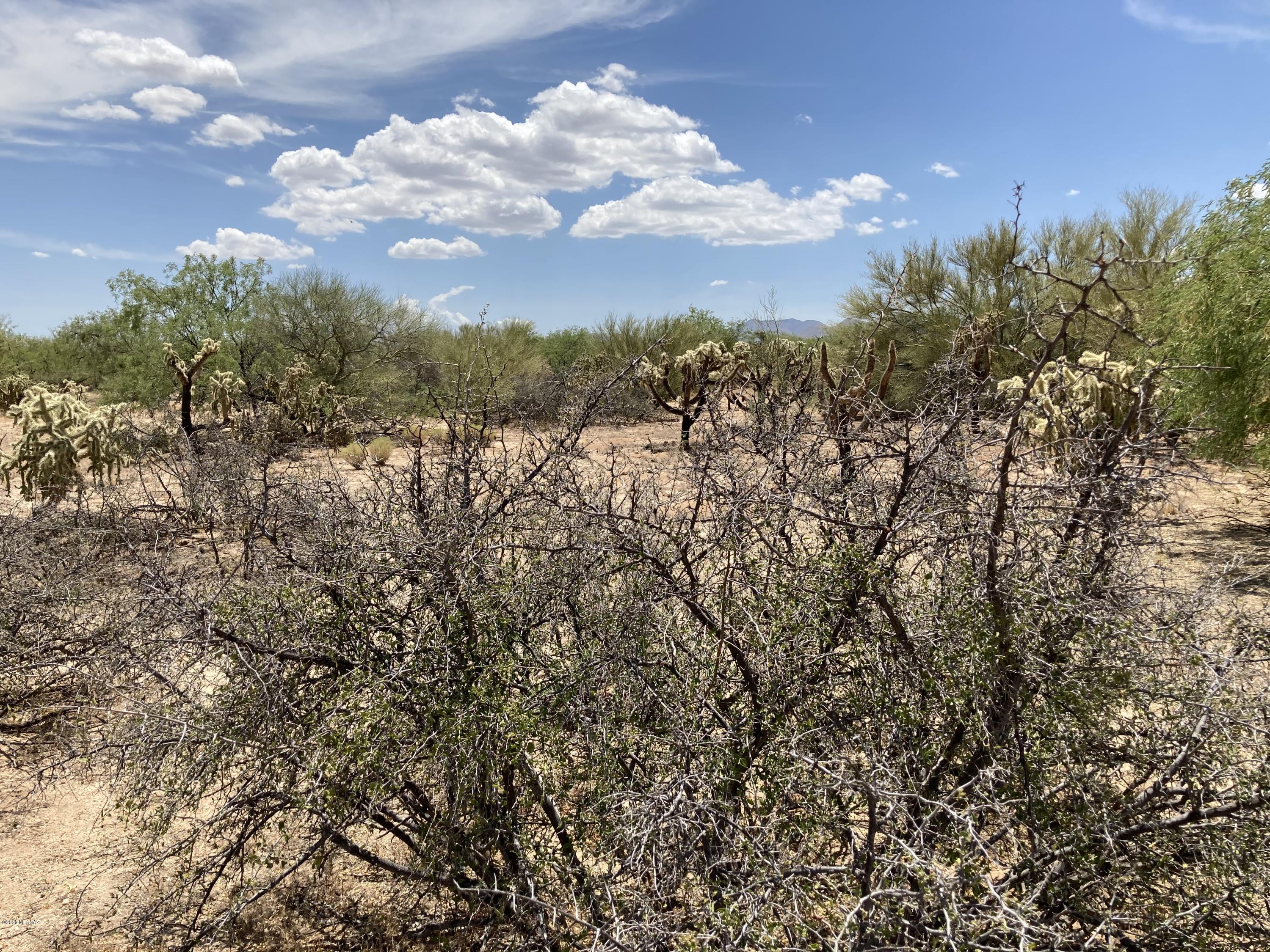 11101 South Comanche Road, Unit 114 Tucson, AZ 85736 - Photo 2 of 2