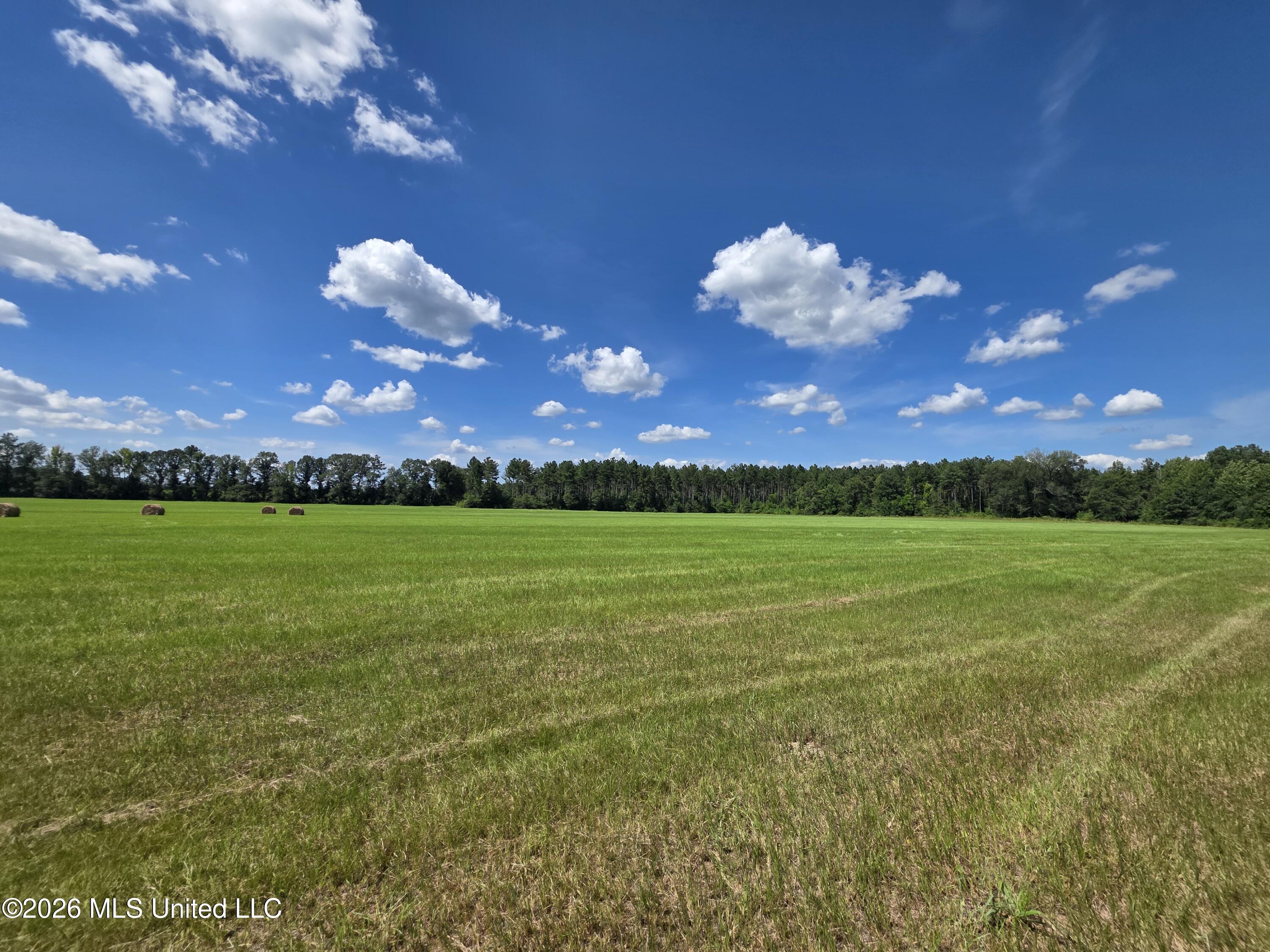 244 Foster Road Sontag, MS 39665 - Photo 108 of 121 38588