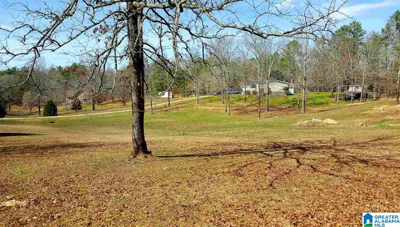 8201 Brooks Road Morris, AL 35116 - Photo 32 of 37