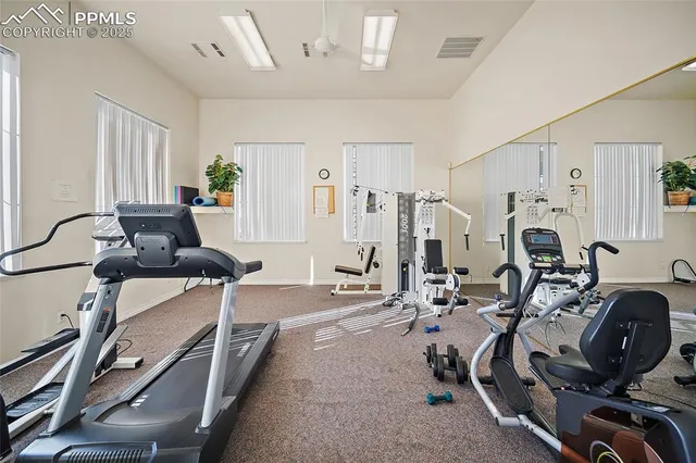 a living room with furniture a bookshelf and a fireplace