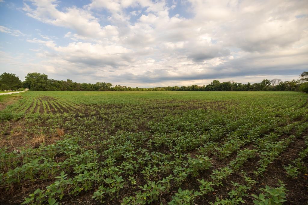 Tbd Northeast 500th Road Warrensburg, MO 64093 - Photo 27 of 40